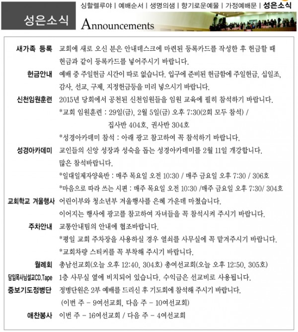 강남성은교회 / 교회소식